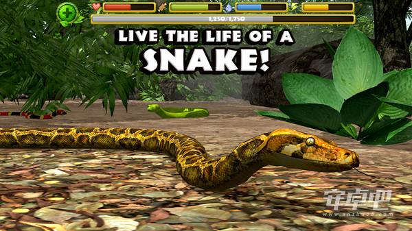 蟒蛇模拟器破解版0