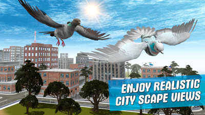 城市鸽子模拟器2