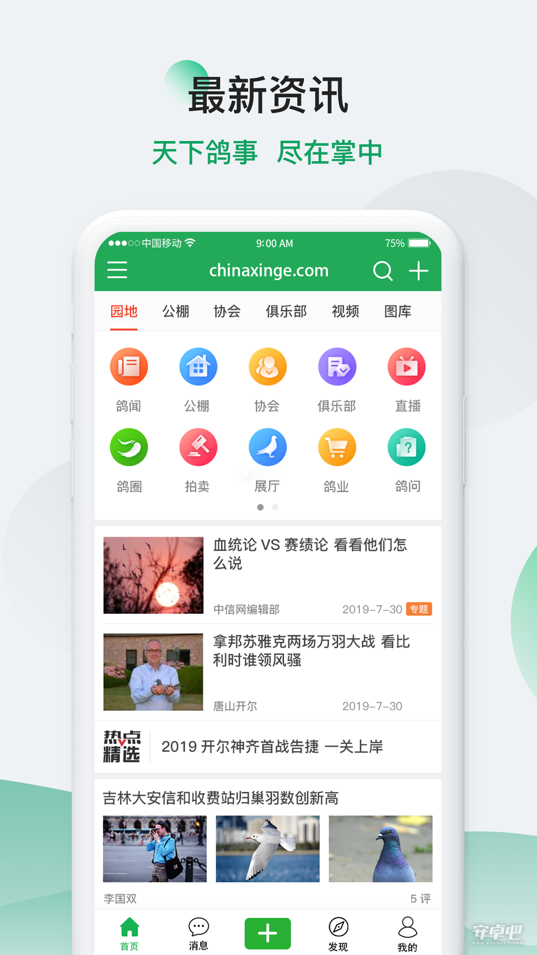 中国信鸽信息网最新版0