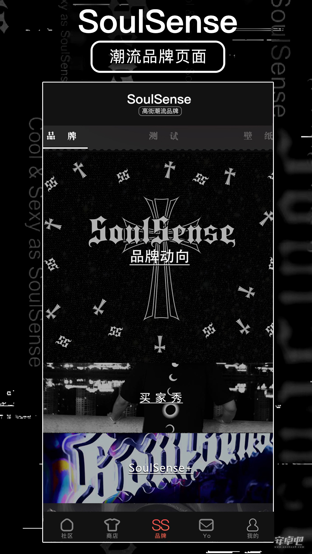 SoulSense2024版2