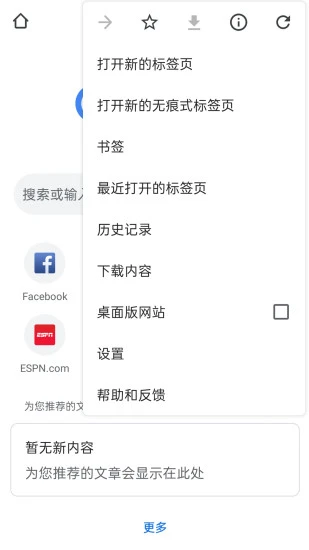 谷歌浏览器中文版0