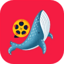 鲸鱼视频免费观看