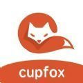 茶杯狐cupfox入口网页版