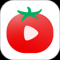 番茄视频免费观看版