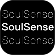 SoulSense2024版