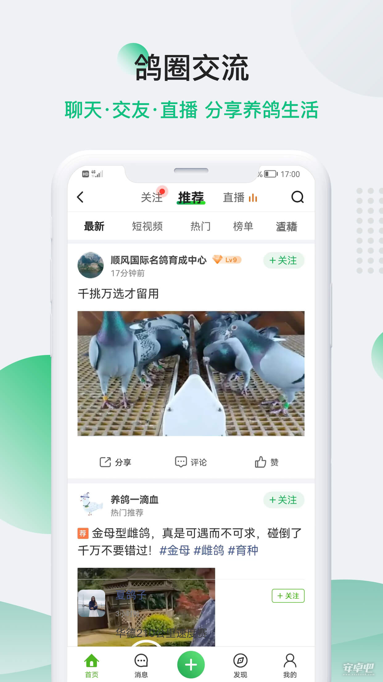 中国信鸽信息网最新版1
