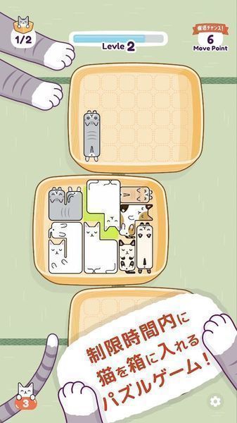 猫猫睡觉中文版2