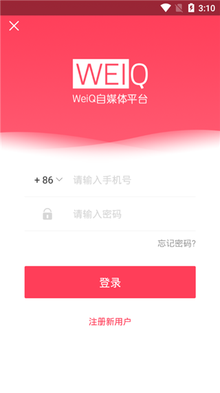 WeiQ自媒体2024版4