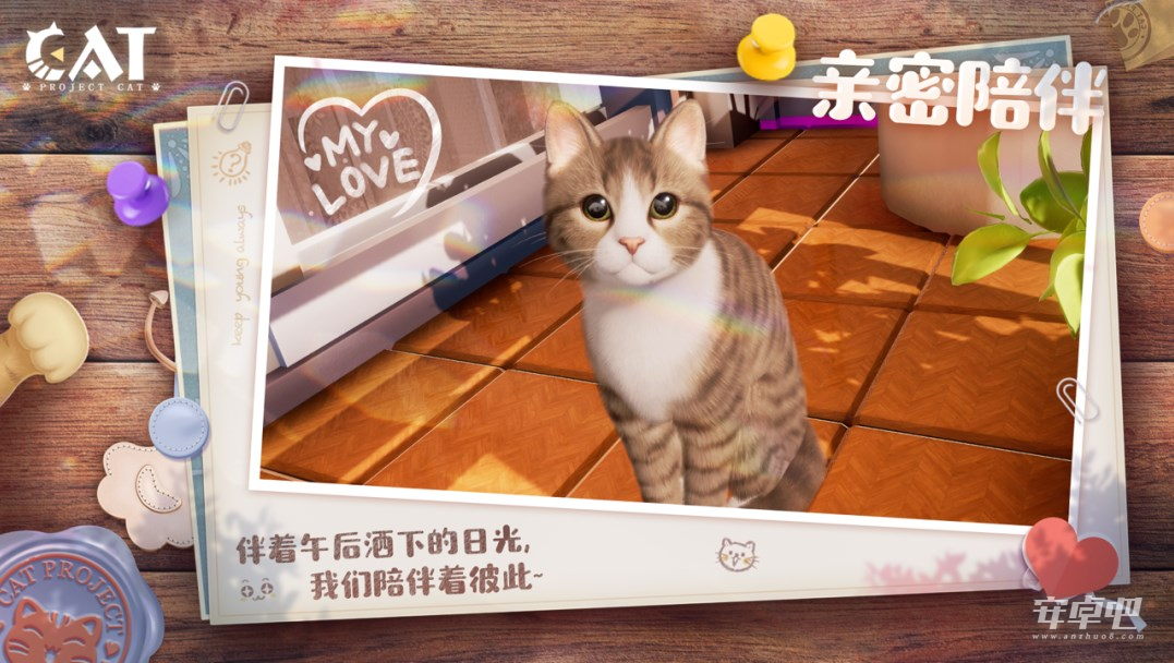 我和我的猫中文版0