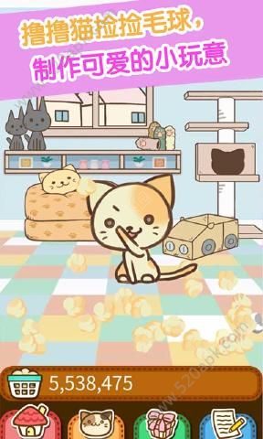 猫咪杂货物语免费版2