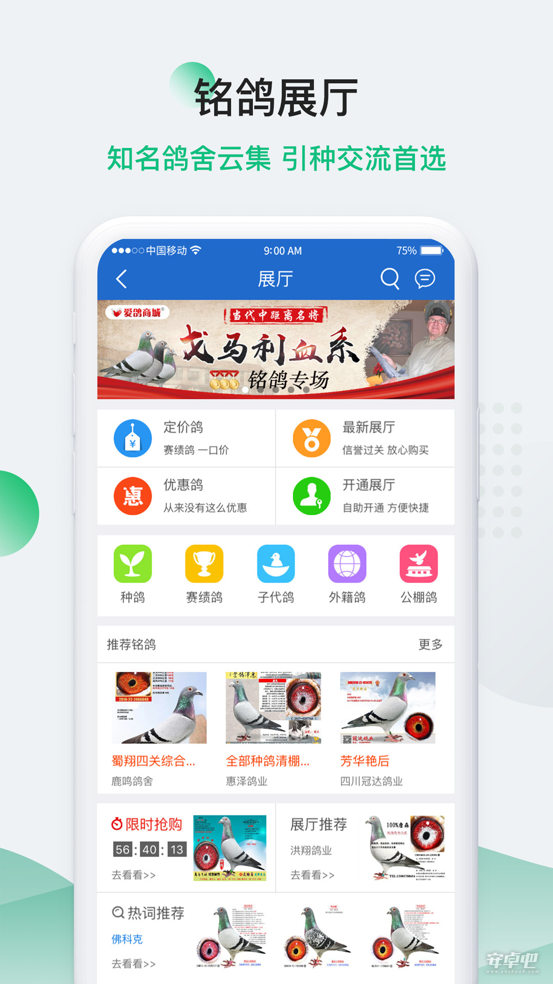 中国信鸽信息网最新版2